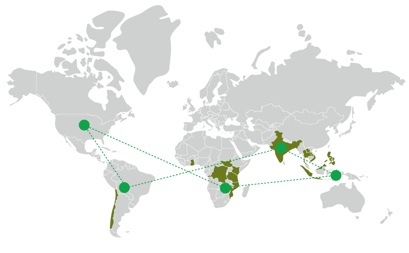 our network